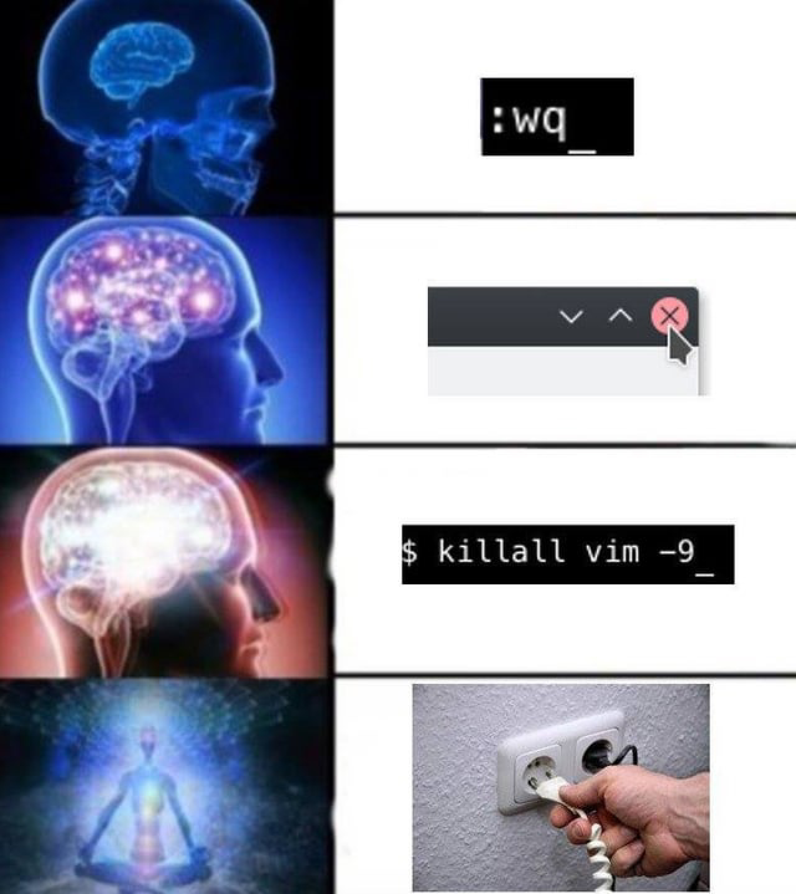 Vim Quite Meme